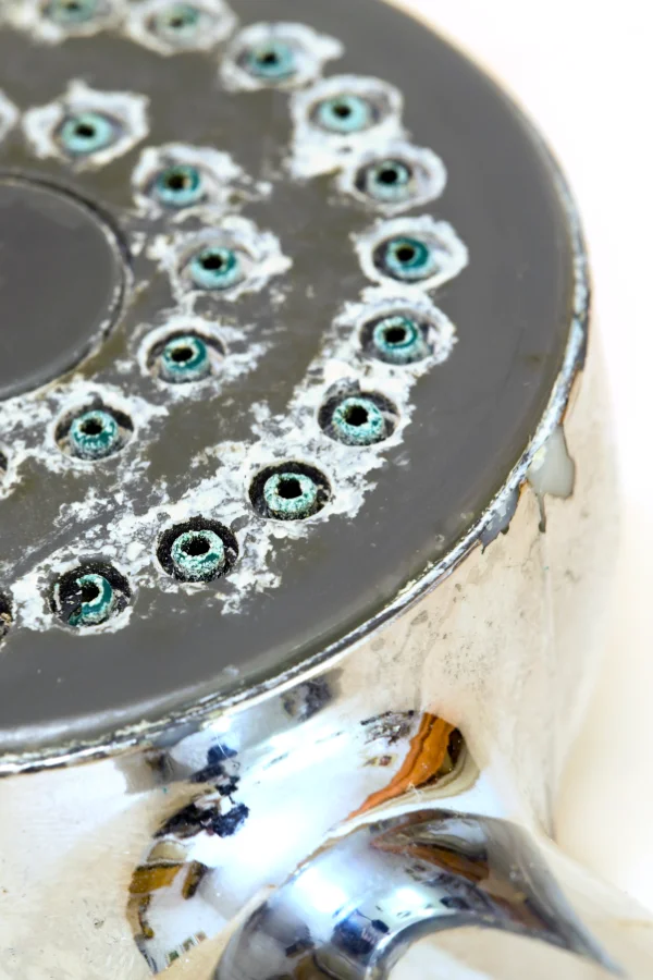 Duschkopf verkalkt Düsen